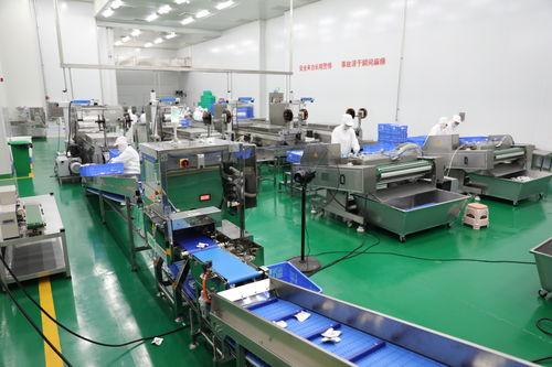 拜泉縣 技術咨詢賦能重點項目，全力開創建設新局面